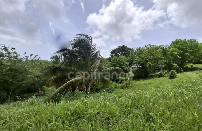 Vente Terrain 776m&sup2; Case-Pilote