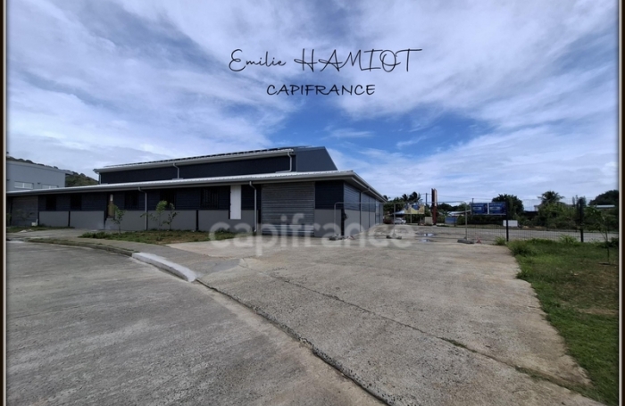 Location Bureaux 97231