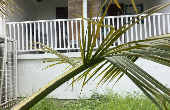 Vente Immeuble 97227