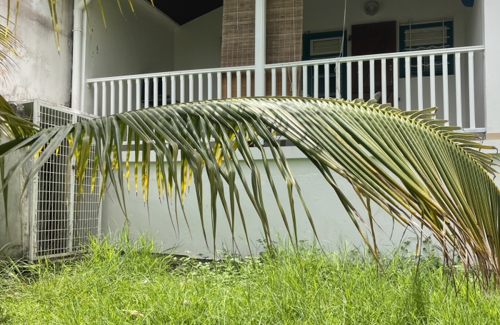 Vente Immeuble 64m&sup2; Sainte Anne