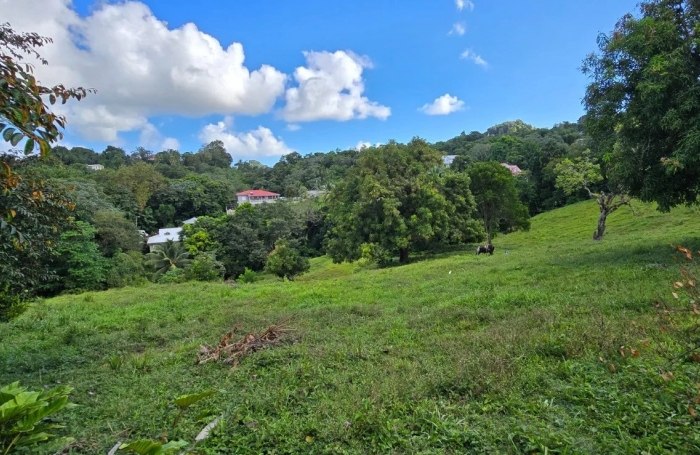 Vente Terrain 1333m&sup2; Le Robert