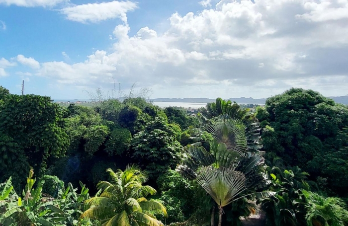 Vente Maison 233.65m&sup2; 4 pi&#232;ces Le Robert