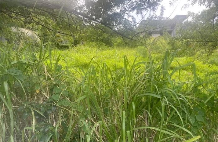 Vente Terrain 922m&sup2; Rivière Salée
