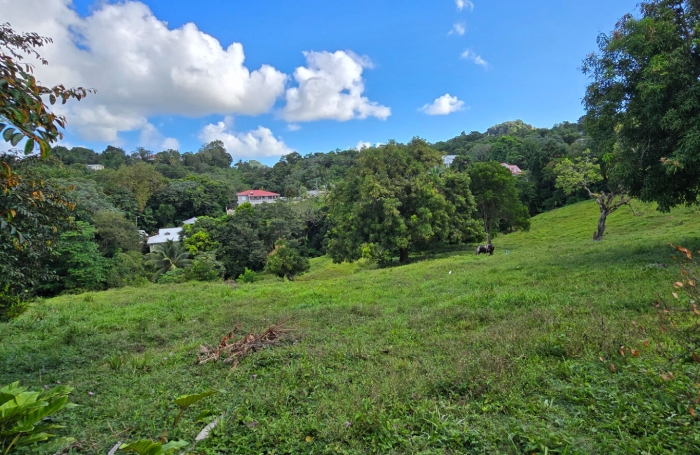 Vente Terrain 