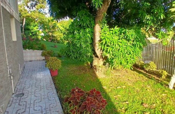 Location Appartement 97224