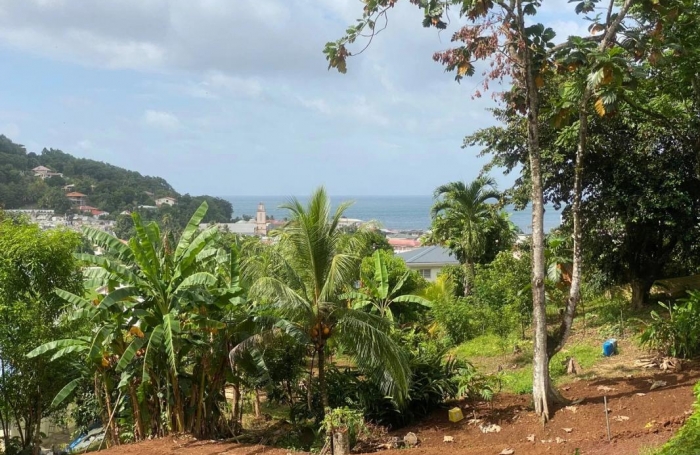 Vente Terrain 97220