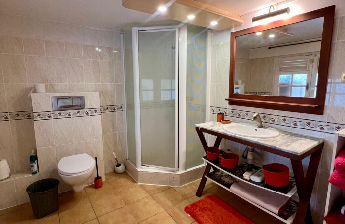Grande Villa T4 + T2 proche CHU