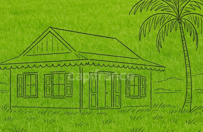 Vente Terrain 97215