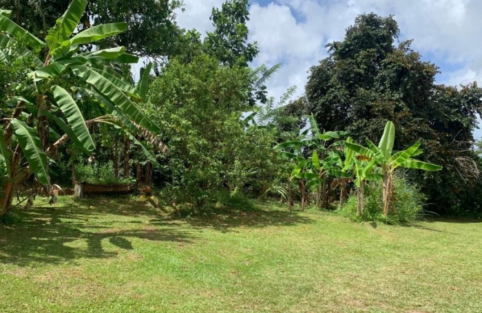 Vente Terrain 97231