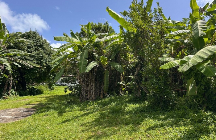 Vente Terrain 605m&sup2; Le Robert