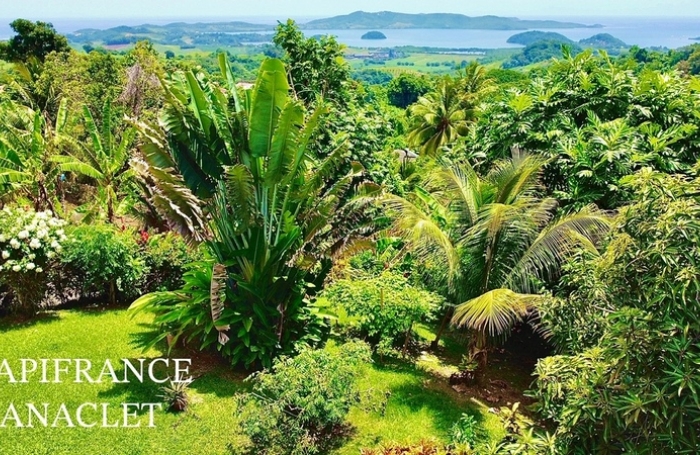 Vente Maison 244m&sup2; 7 pi&#232;ces Le Robert