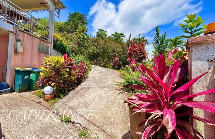 Vente Maison 244m&sup2; 7 pi&#232;ces Le Robert