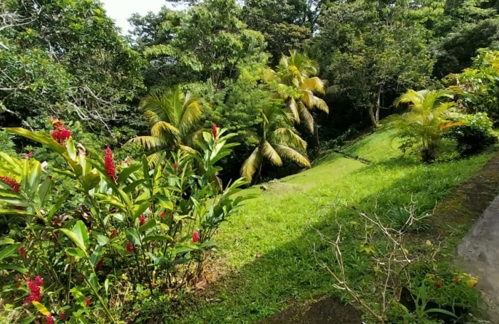 Location Maison 97212