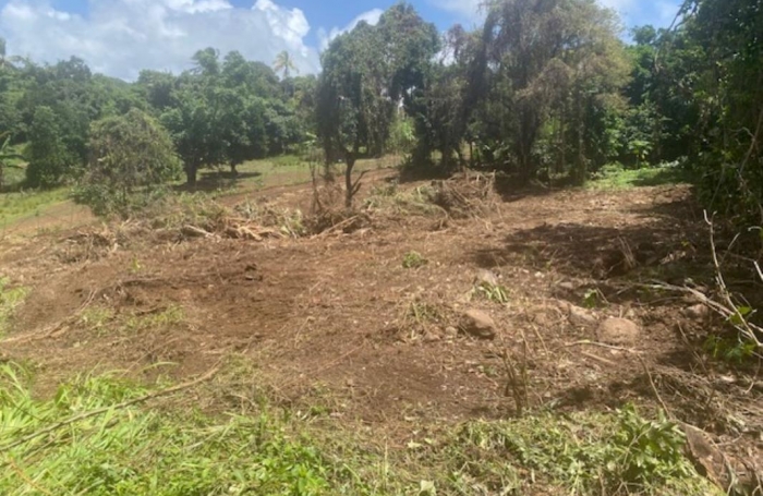 Vente Terrain 1628m&sup2; Le Marin