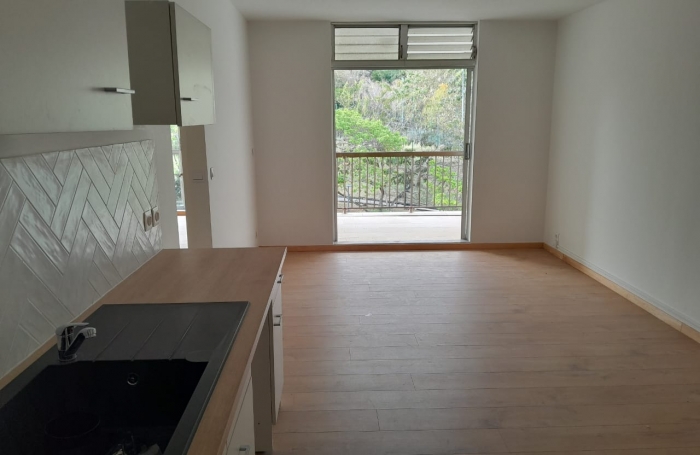 Location Appartement 97233
