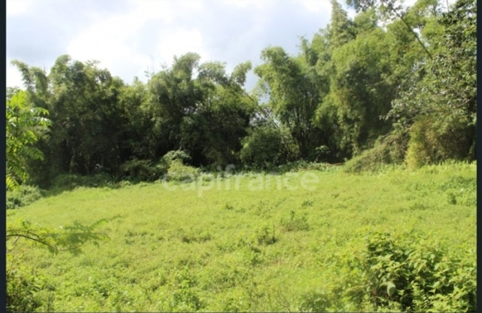 Vente Terrain 6130m&sup2; L'Ajoupa Bouillon