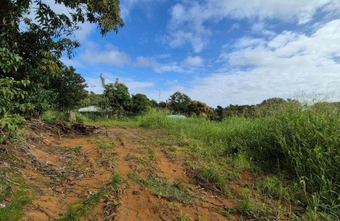 Vente Terrain 97280