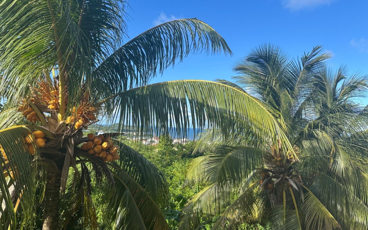 LOCATION APPARTEMENT SPACIEUX AVEC VUE MER AU VAUCLIN