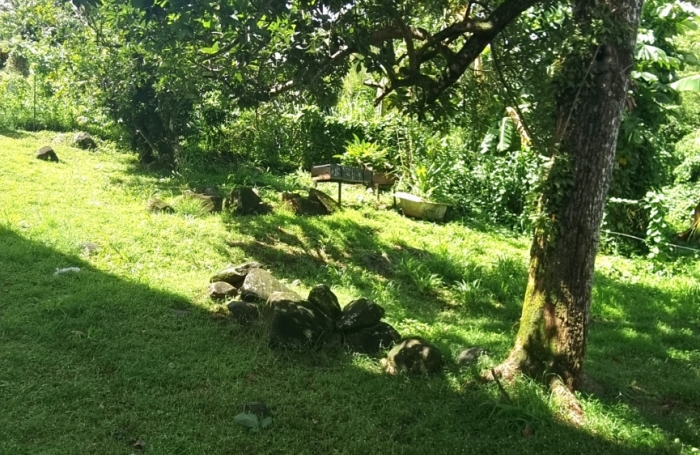 Vente Maison 250m&sup2; 9 pi&#232;ces Ducos