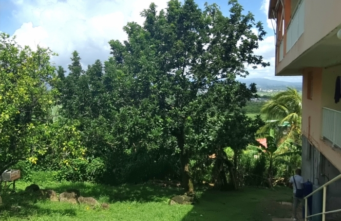 Vente Maison 250m&sup2; 9 pi&#232;ces Ducos