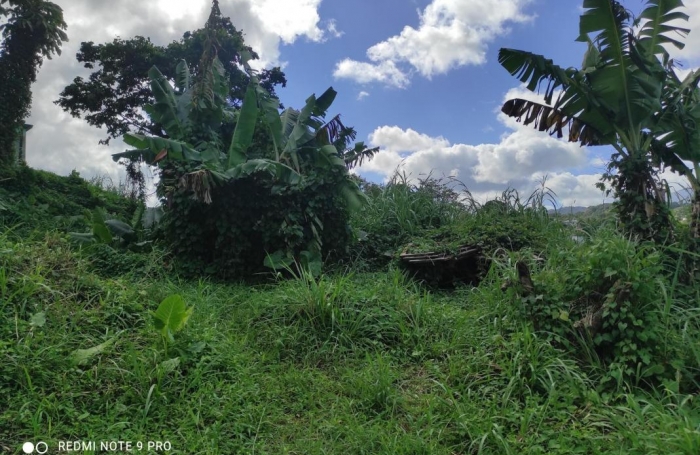 Vente Terrain 1407m&sup2; Saint-Joseph