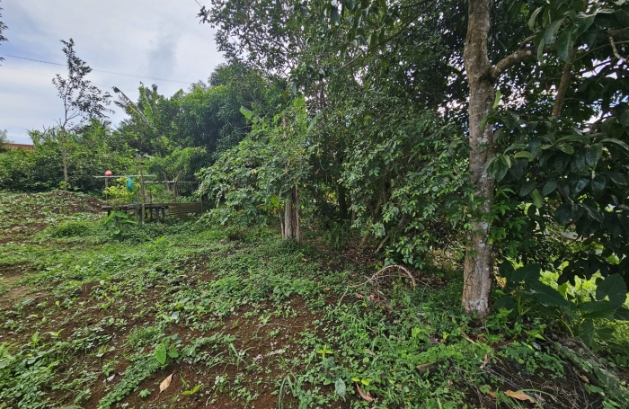 Terrain en pente douce, Bourg du Morne des Esses - SAINTE-MARIE