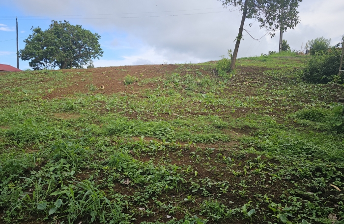 Terrain en pente douce, Bourg du Morne des Esses - SAINTE-MARIE