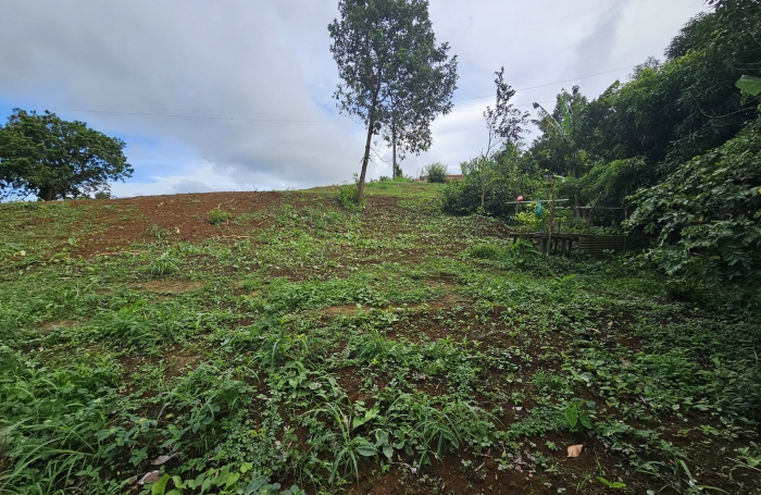 Terrain en pente douce, Bourg du Morne des Esses - SAINTE-MARIE