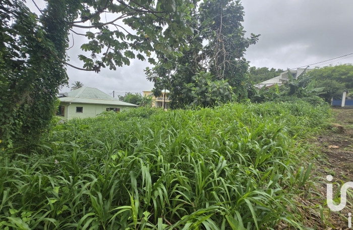 Vente Terrain 97232