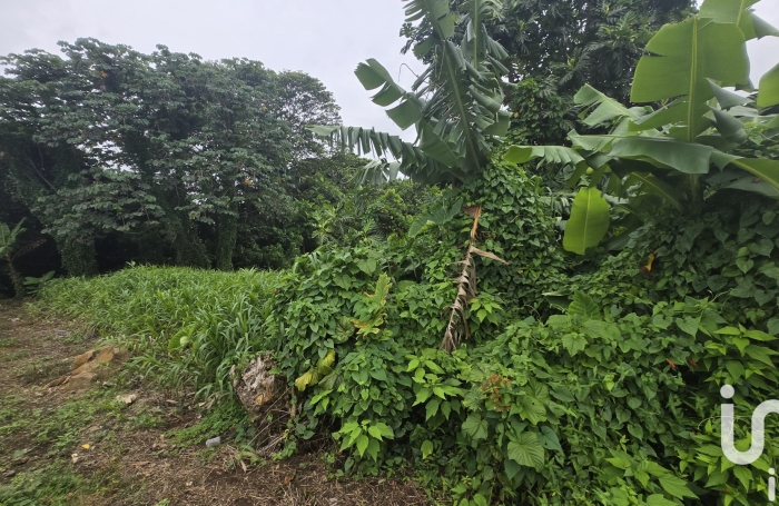 Vente Terrain 630m&sup2; Le Lamentin