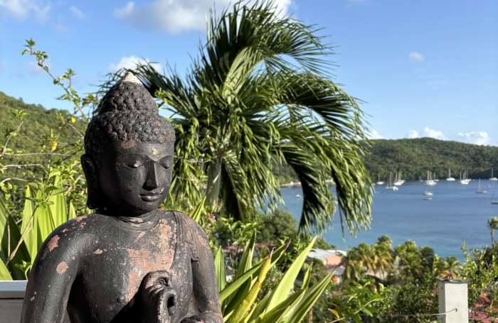 Vente Divers 245m&sup2; 7 pi&#232;ces Les Anses d'Arlet