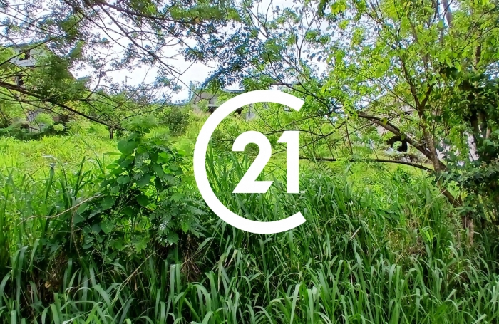 Vente Terrain 97228
