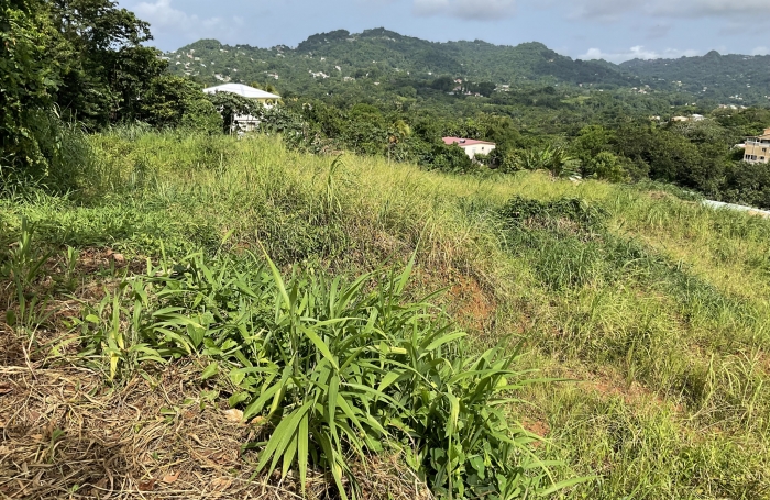 Terrain à bâtir de 477.99 m2 - LE ROBERT