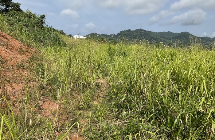 Terrain à bâtir de 477.99 m2 - LE ROBERT