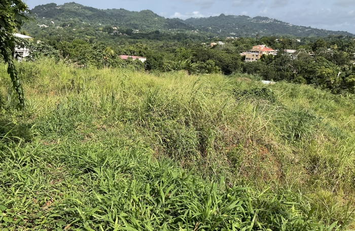 Terrain à bâtir de 500.61 m2 - LE ROBERT