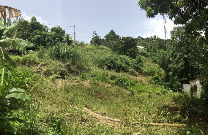 Terrain à bâtir de 709 m2 - LE FRANCOIS