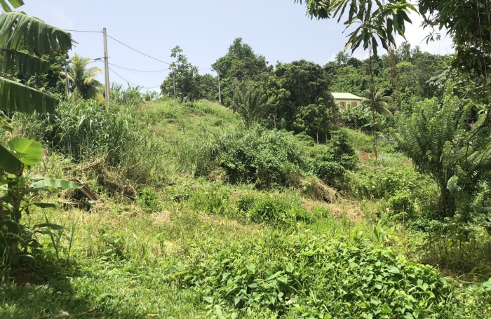 Terrain à bâtir de 705 m2 FRANCOIS