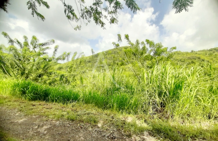 Vente Terrain 922m² Sainte Luce