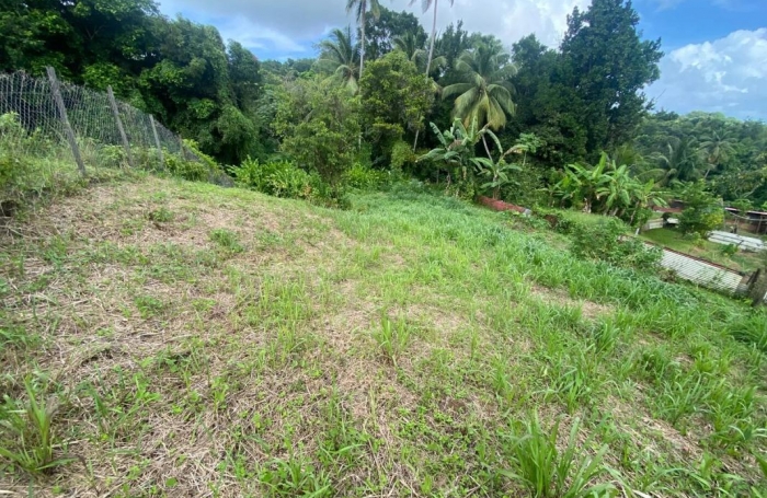 Vente Terrain 97231