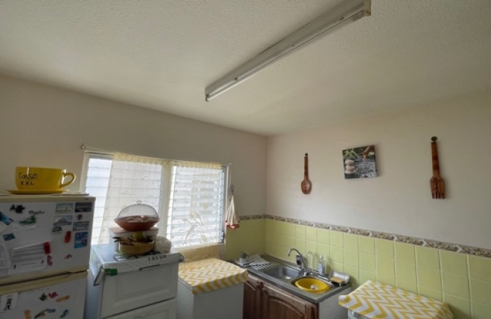 Appartement T4 avec locataire en place - LE ROBERT