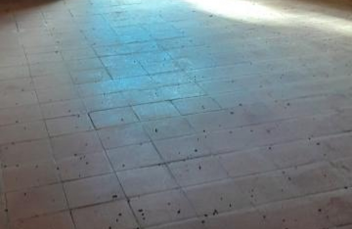 Vente Maison 181m&sup2; 7 pi&#232;ces Ducos