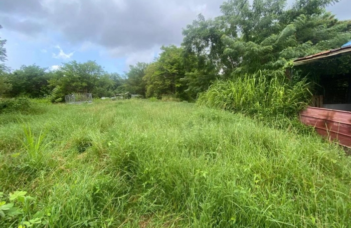 Vente Terrain 6200m&sup2; Les Trois Ilets
