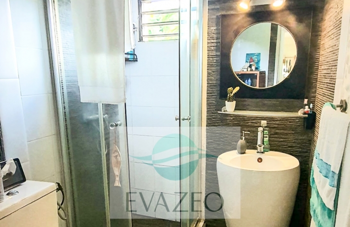 Studio 33m2 vue mer panoramique   TROIS ILETS