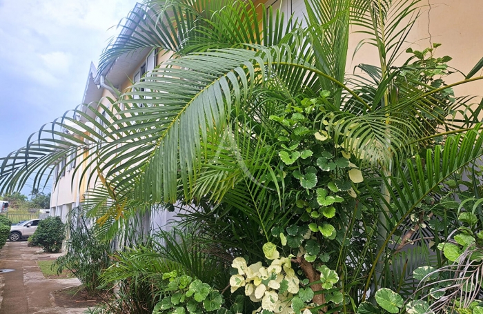 Vente Appartement 73.72m² 3 pièces Le Vauclin