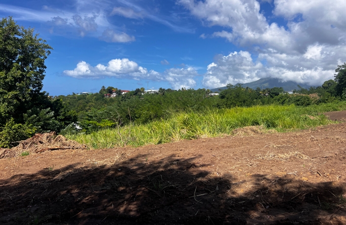 Vente Terrain 750m² Le Carbet