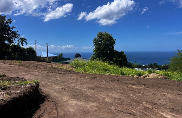 Vente Terrain 750m² Le Carbet