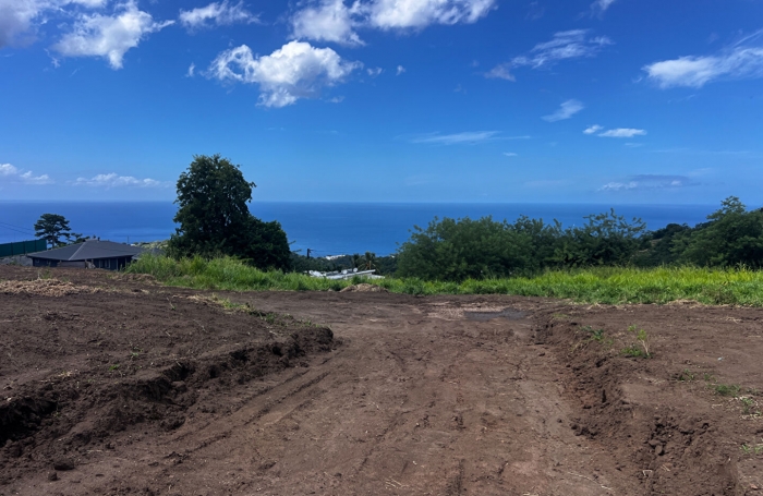 Vente Terrain 750m² Le Carbet