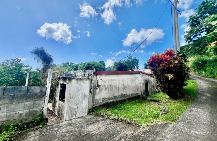 Vente Maison 239m&sup2; 9 pi&#232;ces Le Morne Vert