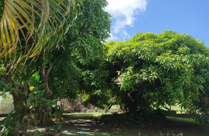 Location Maison 147m&sup2; 6 pi&#232;ces Sainte Luce