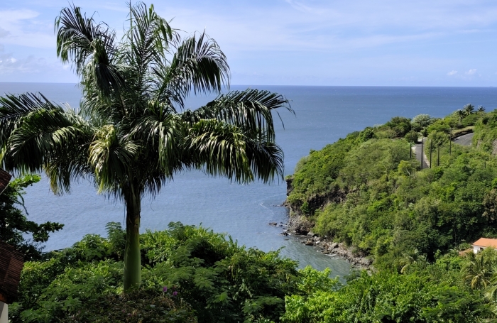 Location Appartement 97233